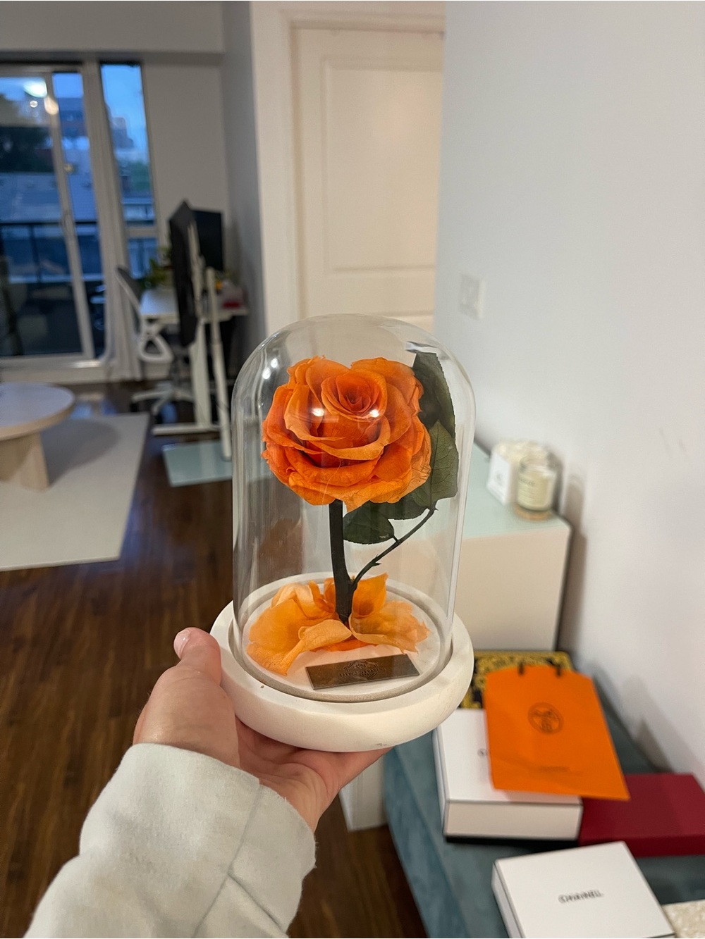 Preserved Orange Rose Dome – Elegant Home Art